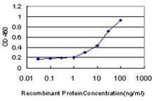 Detection limit for recombinant GST tagged PIGL is approximately 1ng/ml as a capture antibody. (PIGL 抗体  (AA 153-252))