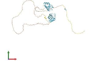 Protein Structure (PS) image for serine/arginine-Rich Splicing Factor 6 (SRSF6) (AA 1-339) protein (His tag) (ABIN7557097)