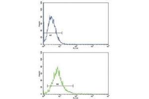 ATF6 antibody flow cytometric analysis of K562 cells (bottom histogram) compared to a negative control (top histogram). (ATF6 抗体  (AA 350-377))