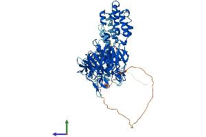 Protein Structure (PS) image for Kelch-Like 14 (KLHL14) (AA 1-628) protein (His tag) (ABIN7548789)