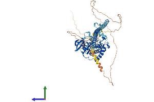 Protein Structure (PS) image for Mitogen-Activated Protein Kinase Kinase Kinase 7 (MAP3K7) (AA 1-579) protein (His tag) (ABIN7563940)