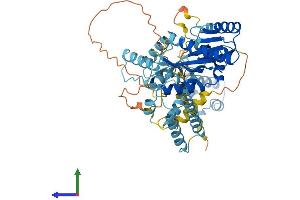 Protein Structure (PS) image for Tigger Transposable Element Derived 2 (TIGD2) (AA 1-525) protein (His tag) (ABIN7544553)