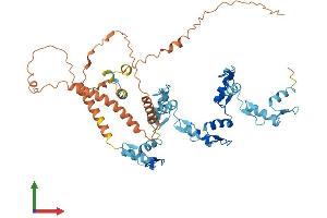 AlphaFold protein structure predicition of Human Recombinant ZNF286A Protein, UniprotID Q9HBT8