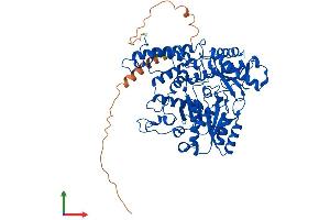 AlphaFold protein structure predicition of Mouse Recombinant Gad1 Protein, UniprotID P48318 (GAD Protein (AA 1-593) (His tag))