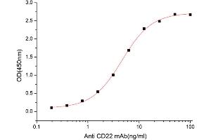 CD22 Molecule (CD22) (AA 20-687) (Active) protein (His-Fc tag)