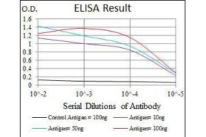 Black line: Control Antigen (100 ng), Purple line: Antigen(10 ng), Blue line: Antigen (50 ng), Red line: Antigen (100 ng), (ITGB1 抗体)