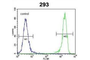 Flow Cytometric analysis of 293 cells using DIT3 Antibody (C-term) Cat. (DDIT3 抗体  (C-Term))