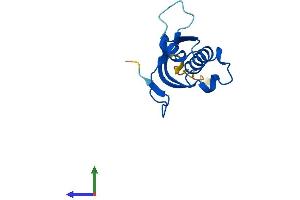 Protein Structure (PS) image for Ribosomal Protein L31 (RPL31) (AA 1-125) protein (His tag) (ABIN7556626)