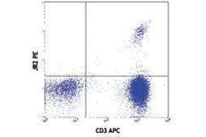 Flow Cytometry (FACS) image for anti-Vbeta 8 TCR antibody (PE) (ABIN2663919) (Vbeta 8 TCR 抗体 (PE))