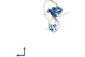 Protein Structure (PS) image for Protein Kinase C and Casein Kinase Substrate in Neurons 3 (PACSIN3) (AA 1-424) protein (His tag) (ABIN7560309)