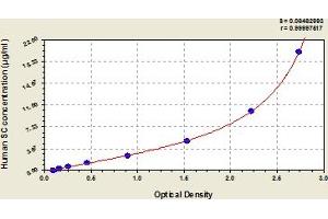 Typical Standard Curve (Secretory Component ELISA 试剂盒)