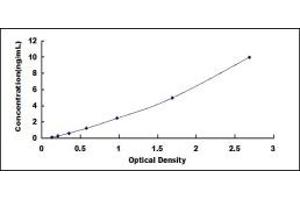 Typical standard curve (Ectodysplasin A2 Receptor ELISA 试剂盒)