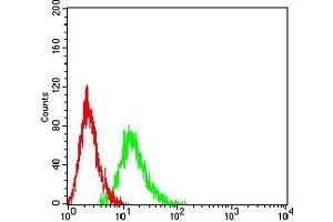 Flow cytometric analysis of HL-60 cells using CD49E mouse mAb (green) and negative control (red). (ITGA5 抗体  (AA 111-253))