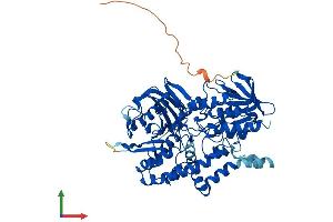 Protein Structure (PS) image for Chromosome 10 Open Reading Frame 33 (C10ORF33) (AA 1-581) protein (His tag) (ABIN7551139)