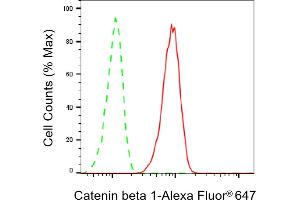Flow cytometric analysis of catenin beta 1 expression in HT- cells using catenin beta 1 antibody (ABIN7797928), 1:2,000).