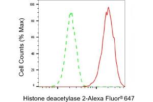 Flow cytometric analysis of Histone deacetylase 2 expression in HAP-1 cells using Histone deacetylase 2 antibody (ABIN7798931), 1:2,000). (Recombinant HDAC2 抗体)