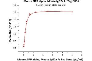 Immobilized Human CD47 at 10 μg/mL (100 μL/well) can bind Mouse SIRP alpha, Mouse IgG2a Fc Tag (ABIN5955018,ABIN6253632) with a linear range of 0. (SIRPA Protein (AA 32-373) (Fc Tag))