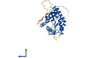 Protein Structure (PS) image for BRCA2 and CDKN1A Interacting Protein (BCCIP) (AA 1-314) protein (His tag) (ABIN7552608)