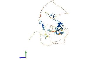 Protein Structure (PS) image for Mesoderm Induction Early Response 1 (MIER1) (AA 1-511) protein (His tag) (ABIN7557568)