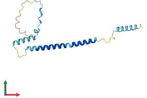 Protein Structure (PS) image for Family with Sequence Similarity 107, Member A (FAM107A) (AA 1-144) protein (His tag) (ABIN7547463)