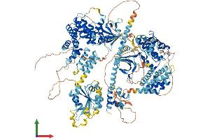 Protein Structure (PS) image for Mitogen-Activated Protein Kinase Kinase Kinase 5 (MAP3K5) (AA 1-1380) protein (His tag) (ABIN7562266)