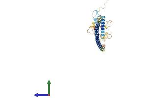 Protein Structure (PS) image for Ring Finger Protein 187 (RNF187) (AA 1-236) protein (His tag) (ABIN7558503)