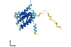 Protein Structure (PS) image for Der1-Like Domain Family, Member 3 (DERL3) (AA 1-235) protein (His tag) (ABIN7547054)