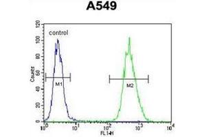 Flow cytometric analysis of A549 cells using BNIP3L / BNIP3A Antibody (Center) Cat. (BNIP3L/NIX 抗体  (Middle Region))