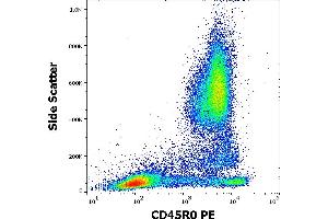 Flow cytometry surface staining pattern of human peripheral whole blood stained using anti-human CD45R0 (UCHL1) PE antibody (20 μL reagent / 100 μL of peripheral whole blood). (CCL20 抗体  (PE))