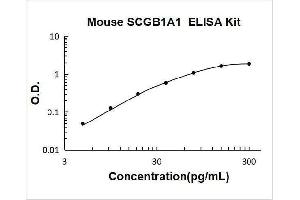 Secretoglobin, Family 1A, Member 1 (Uteroglobin) (SCGB1A1) ELISA Kit
