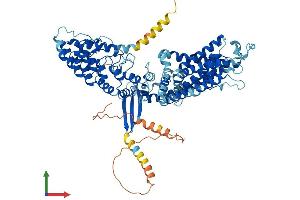 Protein Structure (PS) image for Transient Receptor Potential Cation Channel, Subfamily V, Member 5 (TRPV5) (AA 1-723) protein (His tag) (ABIN7563509)