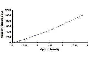 Typical standard curve