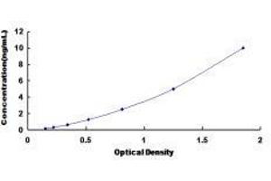 Fibroblast Growth Factor Receptor 1 (FGFR1) ELISA Kit