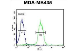 Flow Cytometry (FACS) image for anti-Dehydrogenase/reductase (SDR Family) Member 7 (DHRS7) antibody (ABIN3002129) (DHRS7 抗体)