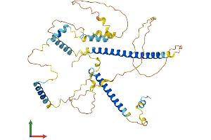 AlphaFold protein structure predicition of Mouse Recombinant Fsip1 Protein, UniprotID Q9D3V5