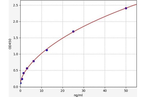CPA3 ELISA 试剂盒