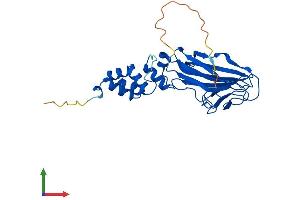 AlphaFold protein structure predicition of Human Recombinant FBXO6 Protein, UniprotID Q9NRD1