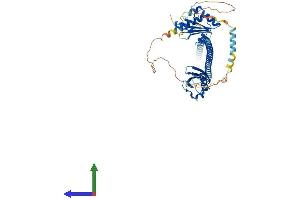 Protein Structure (PS) image for UBX Domain Protein 4 (UBXN4) (AA 1-508) protein (His tag) (ABIN7544866)