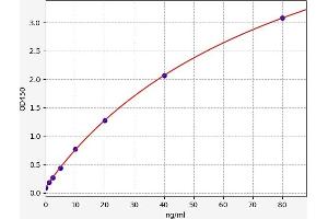 Apolipoprotein M (APOM) ELISA Kit