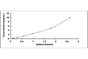Suppressor of Cytokine Signaling 2 (SOCS2) ELISA Kit