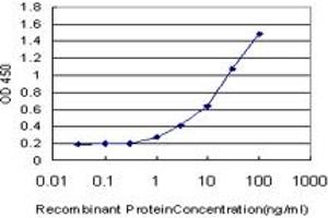 Detection limit for recombinant GST tagged MAP3K5 is approximately 1ng/ml as a capture antibody. (ASK1 抗体  (AA 1231-1374))