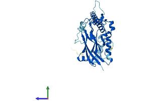 Protein Structure (PS) image for ATPase, Na+/K+ Transporting, beta 2 Polypeptide (ATP1B2) (AA 1-290) protein (His tag) (ABIN7552457)