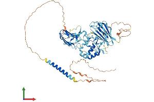 Protein Structure (PS) image for Membrane Frizzled-Related Protein (MFRP) (AA 1-584) protein (His tag) (ABIN7559566)