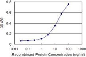 Detection limit for recombinant GST tagged RXRB is 0. (Retinoid X Receptor beta 抗体  (AA 161-260))