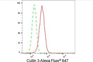 Flow cytometric analysis of Cullin 3 expression in HT- cells using Cullin 3 antibody (ABIN7798178), 1:2,000). (Recombinant Cullin 3 抗体)