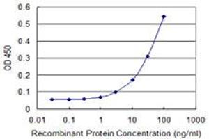 Detection limit for recombinant GST tagged TNIK is 1 ng/ml as a capture antibody. (TNIK 抗体  (AA 1-110))