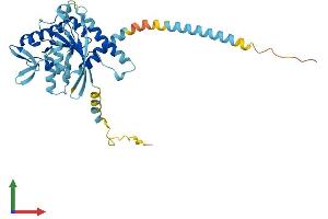 Protein Structure (PS) image for Septin 2 (SEPT2) (AA 1-361) protein (His tag) (ABIN7555438)