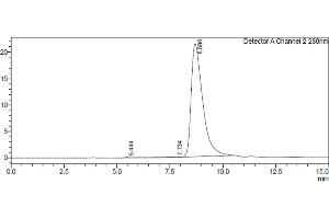 Assessment of protein purity for human Fc gamma RI / CD64 protein by SEC-HPLC.