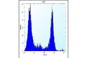 VPS37B Antibody (Center) 12426c flow cytometric analysis of  cells (right histogram) compared to a negative control cell (left histogram). (VPS37B 抗体  (AA 99-127))