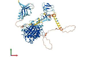 Protein Structure (PS) image for Protein Kinase C, theta (PRKCQ) (AA 1-706) protein (His tag) (ABIN7554386)